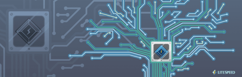LiteSpeed Cache
