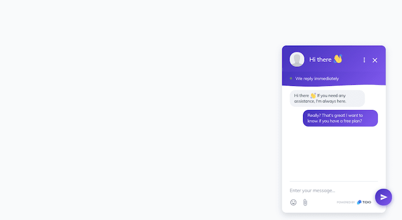 Tidio Chat Widget