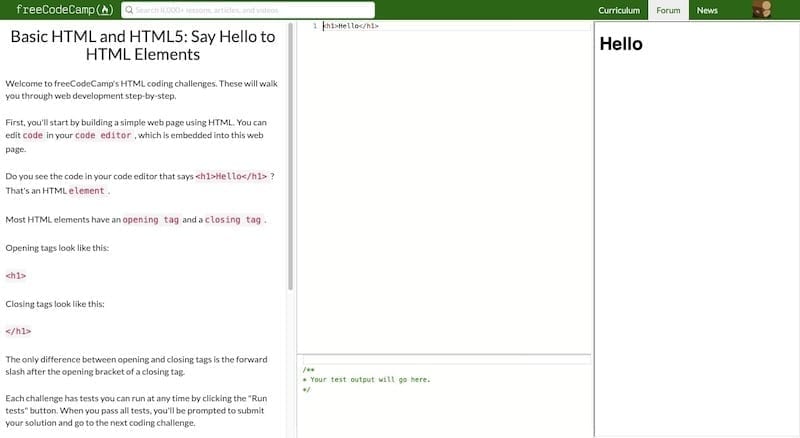 How to center form using flexbox - HTML-CSS - The freeCodeCamp Forum