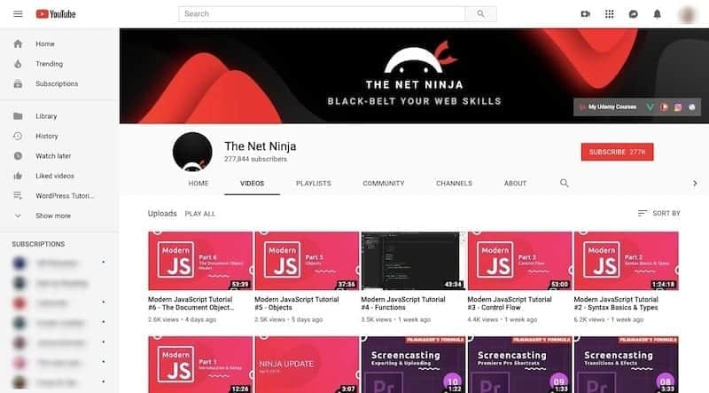 The Net Ninja