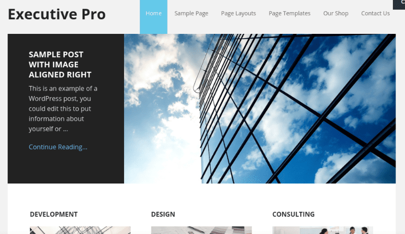 Executive Pro theme