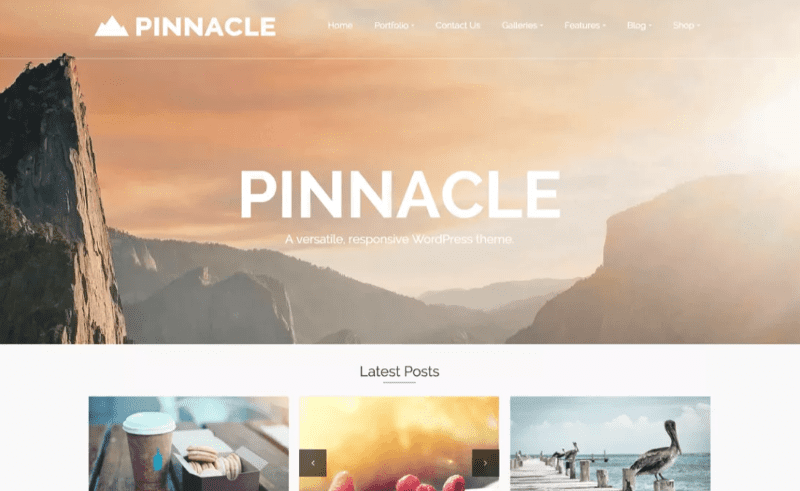 Pinnacle themes for business free