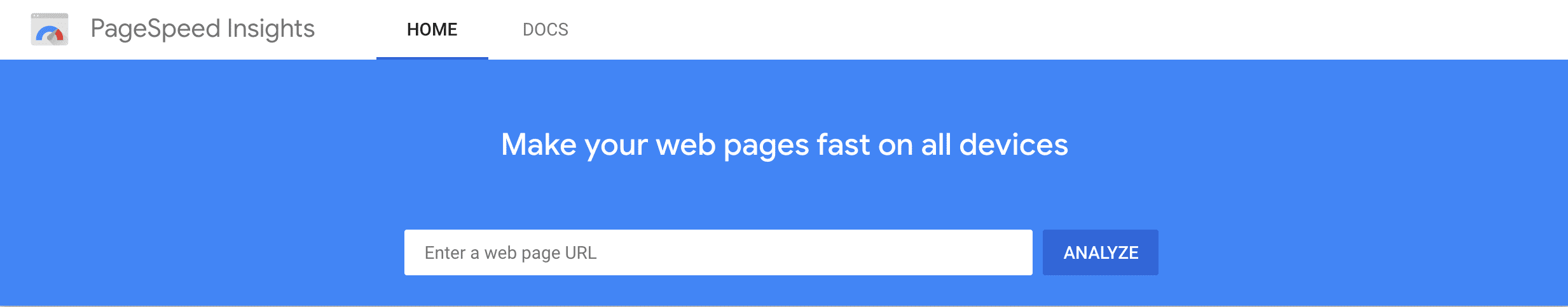 The Google PageSpeed Insights tool.