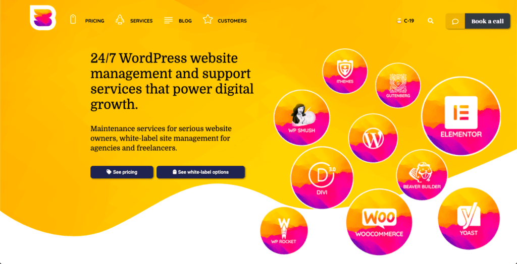 wordpress business plan free