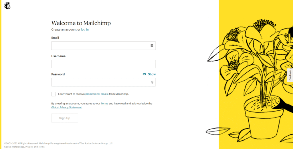 How To Use MailChimp With WordPress WP Buffs